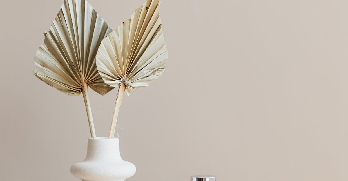 Managing Redness and Swelling After a Chemical Peel